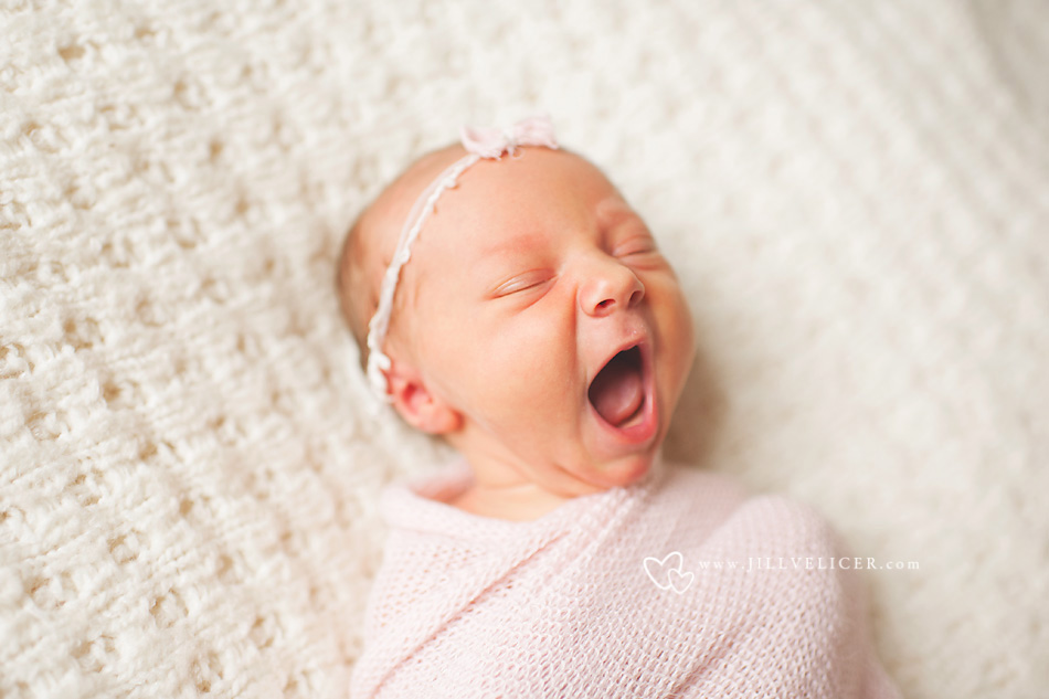 milwaukee newborn photography