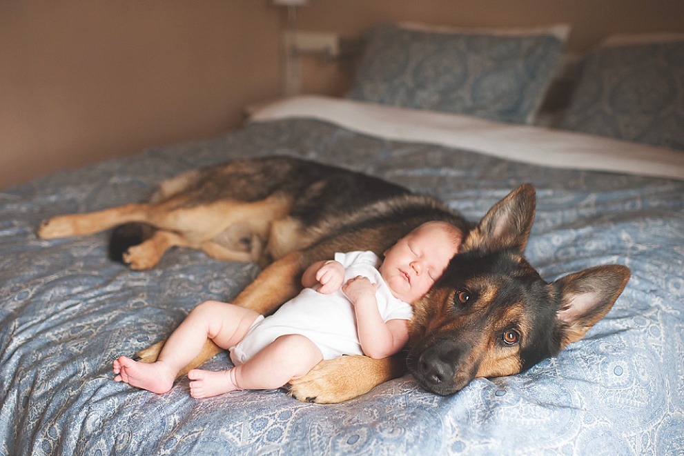 baby and puppy photography wauwatosa wisconsin