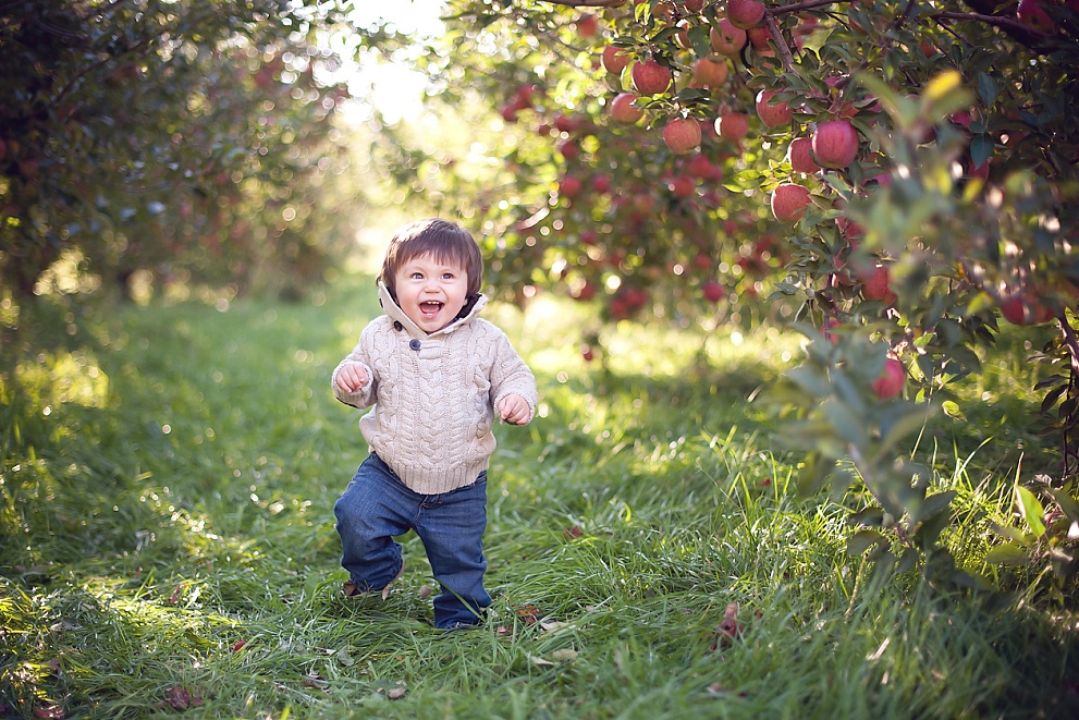 best baby photographers in milwaukee