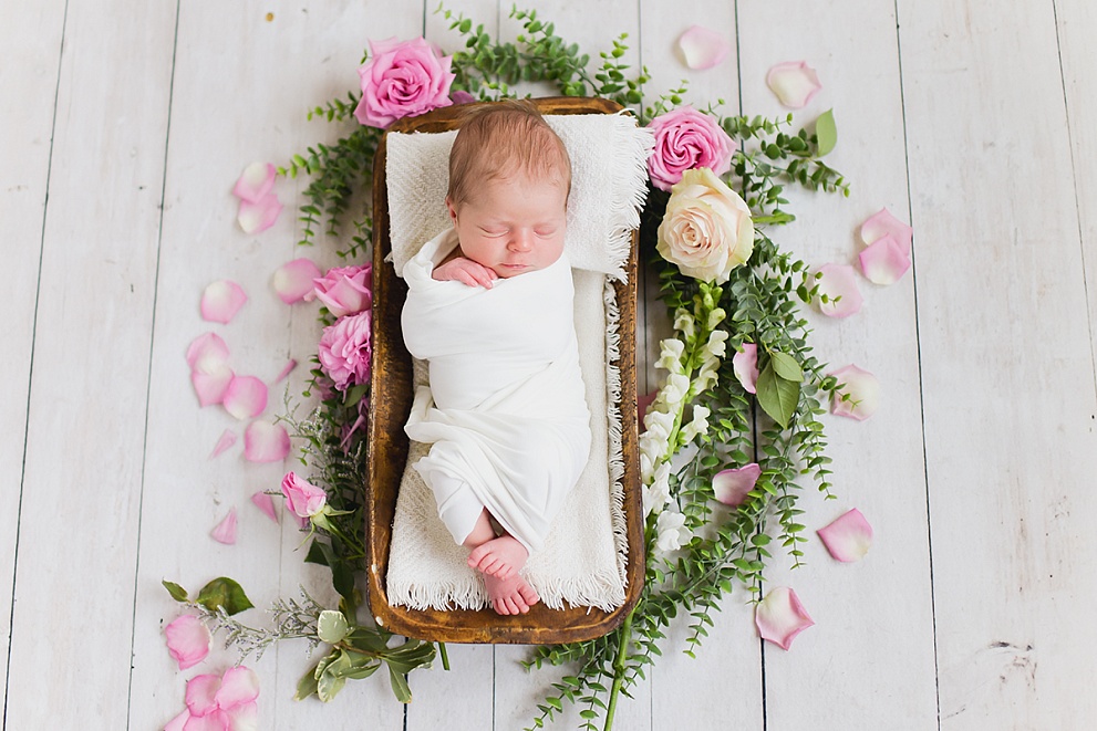 newborn photography studio wisconsin